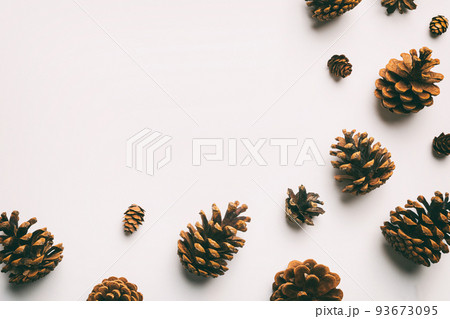 Christmas pine cones on colored paper border composition. Christmas, New Year, winter concept. Flat lay, top view, copy space 93673095
