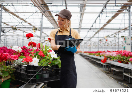 Female florist with clipboard keeps track of produce in greenhouse Female florist with clipboard keeps track of produce in greenhouse 93673521