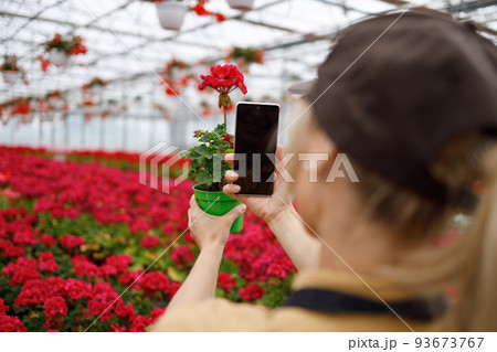 Woman photographing flowers in greenhouse for selling in social media Woman photographing flowers in greenhouse for selling in social media 93673767