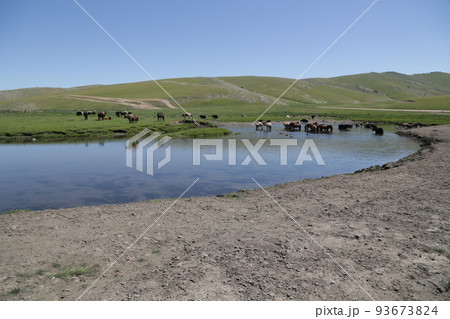 in the land of mongolia the nature 93673824