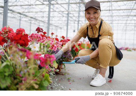 Cheerful pretty woman florist with a garden hand trowel takes care of flowers in the greenhouse Cheerful pretty woman florist with a garden hand trowel takes care of flowers in the greenhouse 93674000