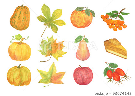 Autumn watercolor seasonal elements set for fall holiday celebration decor pumpkins, mushrooms, leaves, rowan, wheelbarrow, chanterelle, sunflower healthy organic items for cards, poster, banner 93674142
