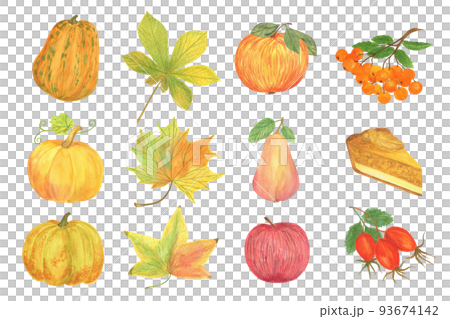 Autumn watercolor seasonal elements set for fall holiday celebration decor pumpkins, mushrooms, leaves, rowan, wheelbarrow, chanterelle, sunflower healthy organic items for cards, poster, banner 93674142