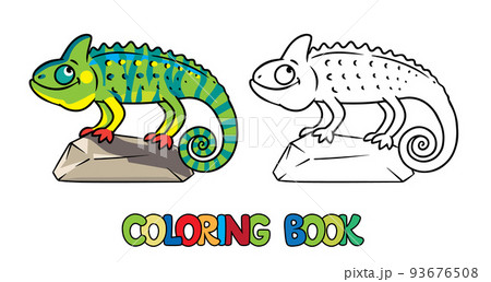 Funny chameleon on the stone. Kids coloring book Funny chameleon on the stone. Kids coloring book 93676508