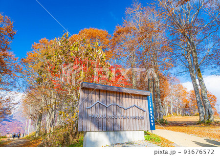【秋素材】紅葉真っ盛りのハクバマウンテンハーバー【長野県】 93676572