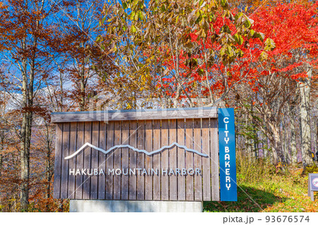 【秋素材】紅葉真っ盛りのハクバマウンテンハーバー【長野県】 【秋素材】紅葉真っ盛りのハクバマウンテンハーバー【長野県】 93676574
