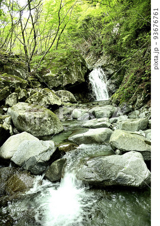 西丹沢の畦ヶ丸　西沢の小滝 93676761