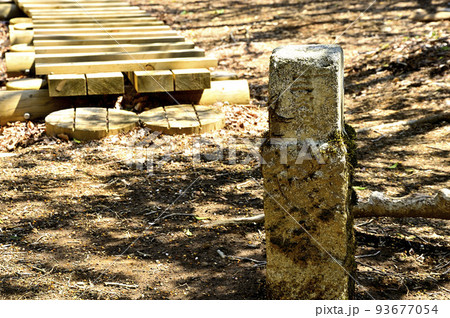 西丹沢の畦ヶ丸山頂　三角点の標石 93677054