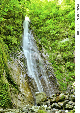 西丹沢の畦ヶ丸　新緑の頃の本棚 93677098