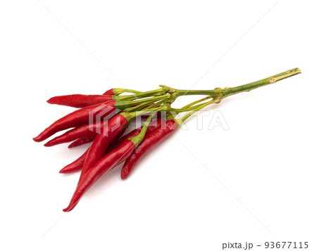 生のトウガラシ 93677115