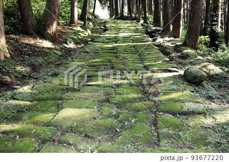 歴史の道　龍門司坂	 93677220