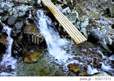西丹沢の加入道山 白石沢コースの崩落した木道 西丹沢の加入道山 白石沢コースの崩落した木道 93677372
