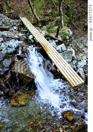 西丹沢の加入道山 白石沢コースの崩落した木道 西丹沢の加入道山 白石沢コースの崩落した木道 93677373