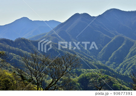丹沢の水晶沢ノ頭 新緑頃 丹沢主稜の山々を望む 丹沢の水晶沢ノ頭 新緑頃 丹沢主稜の山々を望む 93677391