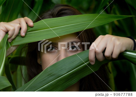 Young woman poses among the plants, looking at the camera and camouflaging. 93677788
