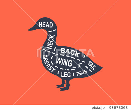 Duck diagram cuts. Butcher scheme poster. Cuts of duck meat. Meat diagram scheme illustration. Farm animal silhouette. Duck diagram cuts. Butcher scheme poster. Cuts of duck meat. Meat diagram scheme illustration. Farm animal silhouette. 93678068