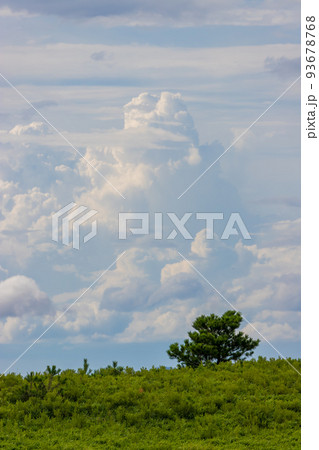 夏の雲と草原（大分県由布市湯布院） 93678768
