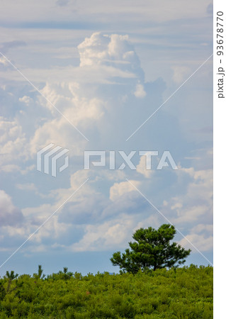夏の雲と草原（大分県由布市湯布院） 93678770