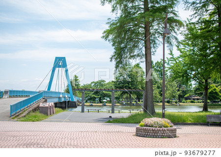 水元公園 水元大橋/東京都葛飾区 水元公園 水元大橋/東京都葛飾区 93679277