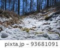 雪の登山道。日本の雄大な自然。 93681091