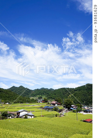富岡の棚田【山梨県上野原市秋山】 93681629