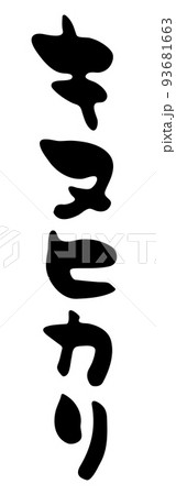 キヌヒカリ 【筆文字、縦書き、カタカナ、日本語】 キヌヒカリ 【筆文字、縦書き、カタカナ、日本語】 93681663