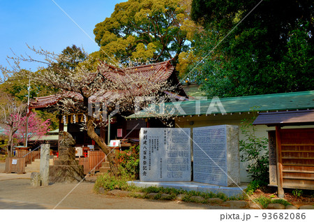 代々木八幡宮 早春の参拝者の風景 代々木八幡宮 早春の参拝者の風景 93682086