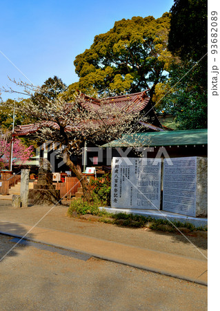 代々木八幡宮 早春の参拝者の風景 代々木八幡宮 早春の参拝者の風景 93682089