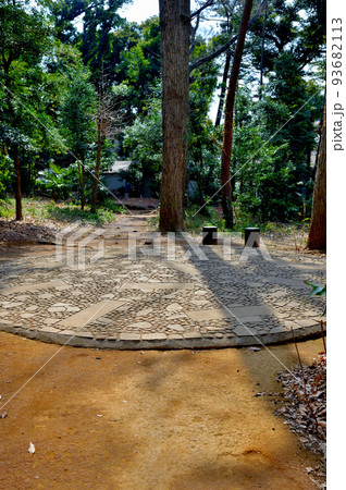 代々木八幡宮 早春の参拝者の風景 代々木八幡宮 早春の参拝者の風景 93682113