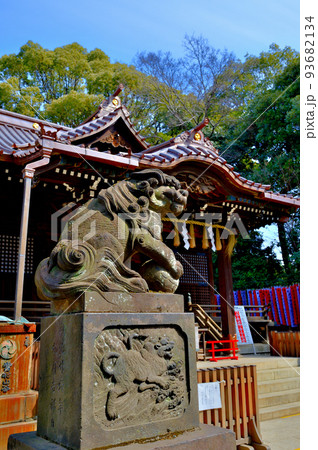 代々木八幡宮 早春の参拝者の風景 代々木八幡宮 早春の参拝者の風景 93682134