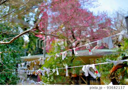 代々木八幡宮 早春の参拝者の風景 代々木八幡宮 早春の参拝者の風景 93682137