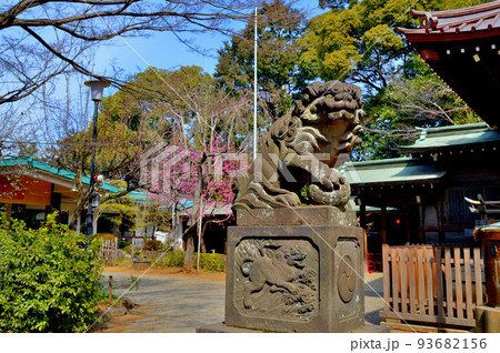 代々木八幡宮 早春の参拝者の風景 93682156