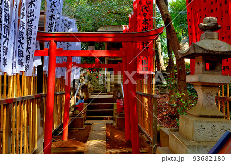 代々木八幡宮 早春の参拝者の風景 代々木八幡宮 早春の参拝者の風景 93682180