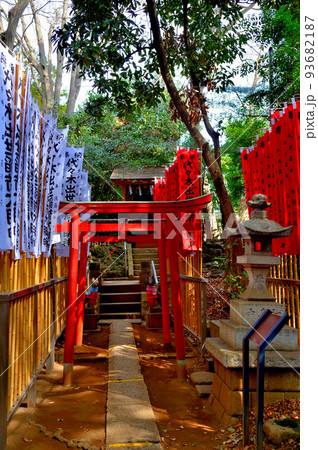 代々木八幡宮 早春の参拝者の風景 代々木八幡宮 早春の参拝者の風景 93682187