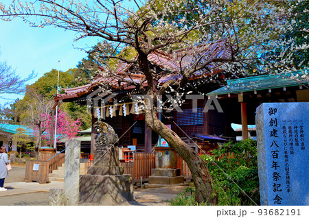 代々木八幡宮 早春の参拝者の風景 代々木八幡宮 早春の参拝者の風景 93682191