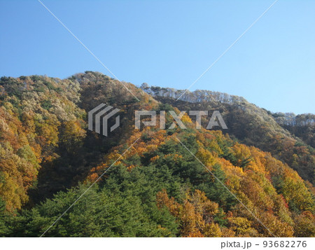 赤色 屋外 空 93682276