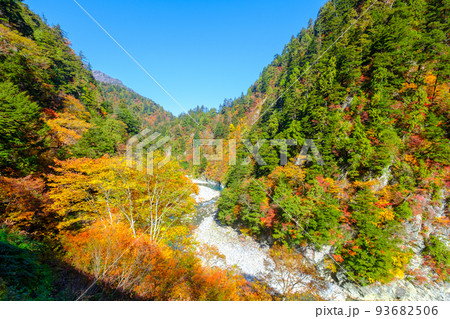 黒部峡谷（秋） 93682506