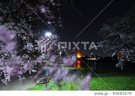 夜桜 93685070