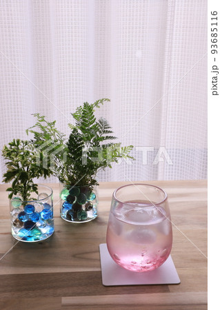 観葉植物と水 観葉植物と水 93685116