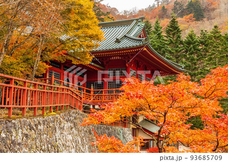 国内屈指の観光地　奥日光の秋　紅葉の日光山中禅寺（立木観音） 93685709