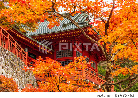 国内屈指の観光地　奥日光の秋　紅葉の日光山中禅寺（立木観音） 93685763