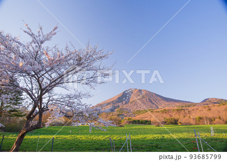 日本の風景（福島県の風景・磐梯山・猪苗代湖） 93685799
