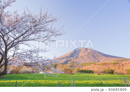 日本の風景（福島県の風景・磐梯山・猪苗代湖） 93685800