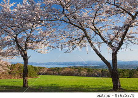 日本の風景（福島県の風景・磐梯山・猪苗代湖） 93685879