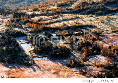 朝日に照らされる芳ヶ平湿原の紅葉・日本国道標高最高地点から 朝日に照らされる芳ヶ平湿原の紅葉・日本国道標高最高地点から 93686141