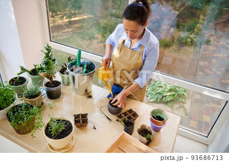 Top view. Hispanic woman, inspired florist, watering rosemary plant in a ceramic flower pot, taking care of houseplants, cultivated in the country house veranda. Floriculture. Horticulture. Gardening Top view. Hispanic woman, inspired florist, watering rosemary plant in a ceramic flower pot, taking care of houseplants, cultivated in the country house veranda. Floriculture. Horticulture. Gardening 93686713