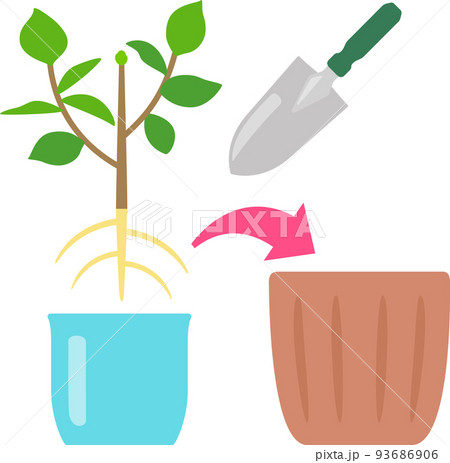 鉢植えの植え替え 93686906