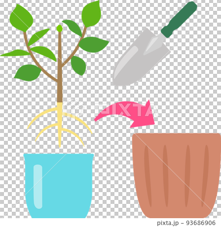 鉢植えの植え替え 93686906