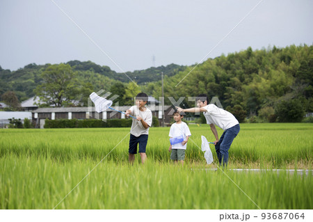 夏休み 帰省先の田舎で昆虫採取する親子 田んぼのあぜ道で撮影 トンボ採り 夏休み 帰省先の田舎で昆虫採取する親子 田んぼのあぜ道で撮影 トンボ採り 93687064
