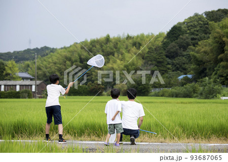 夏休み　帰省先の田舎で昆虫採取する親子　田んぼのあぜ道で撮影　トンボ採り 93687065